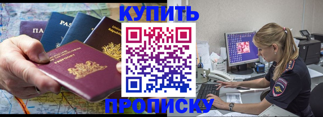 пропишу в квартире в Калининграде